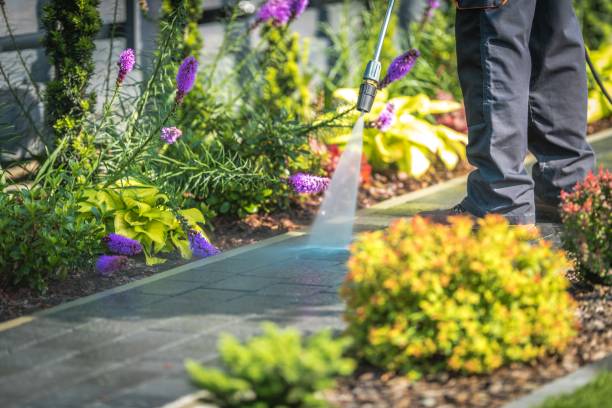 Best Fence Cleaning and Maintenance in Shallotte, NC